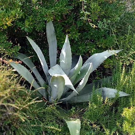 Chez Cecile Et Jean-no