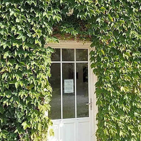 Chez Cécile Et Jean No