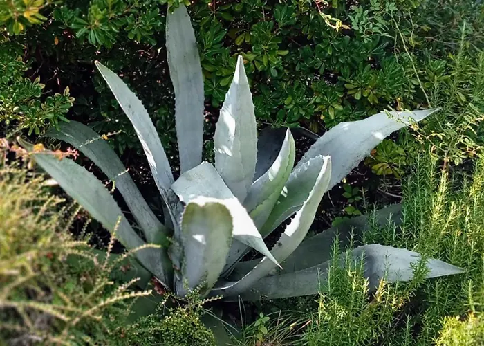 Chez Cecile Et Jean-no